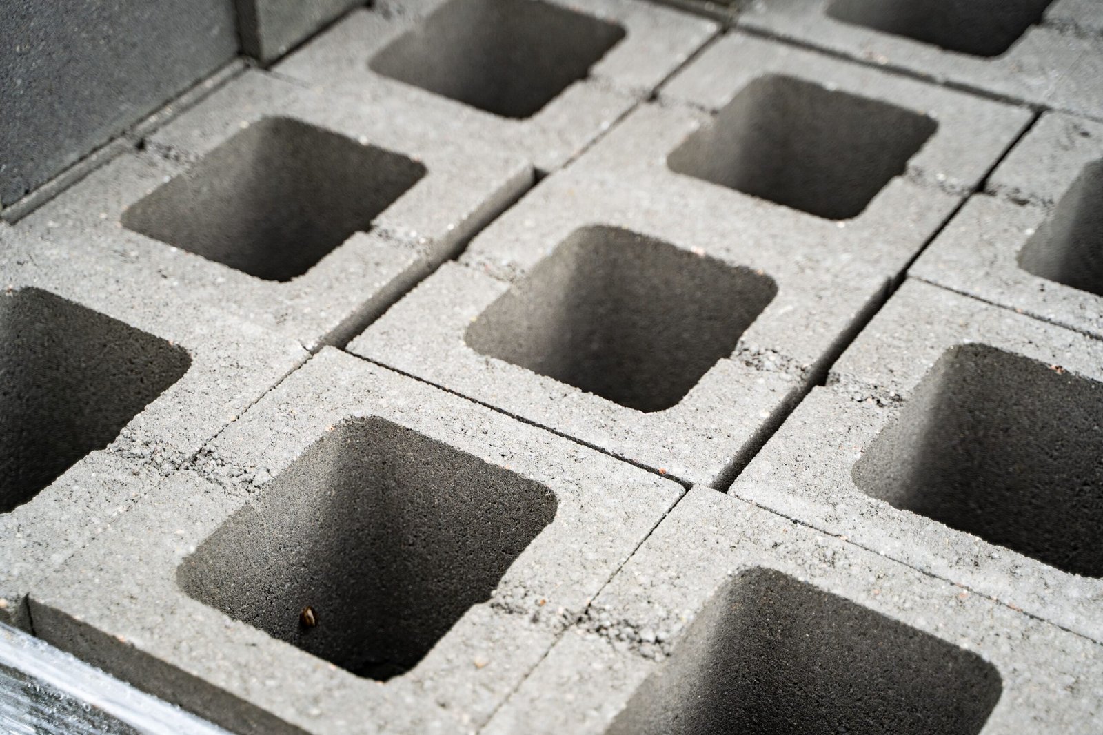 ccaarteixo-Pombo-arteixo5