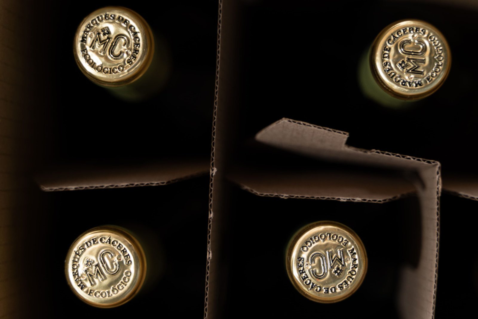 ccaarteixo-distribuciones-cotelo2