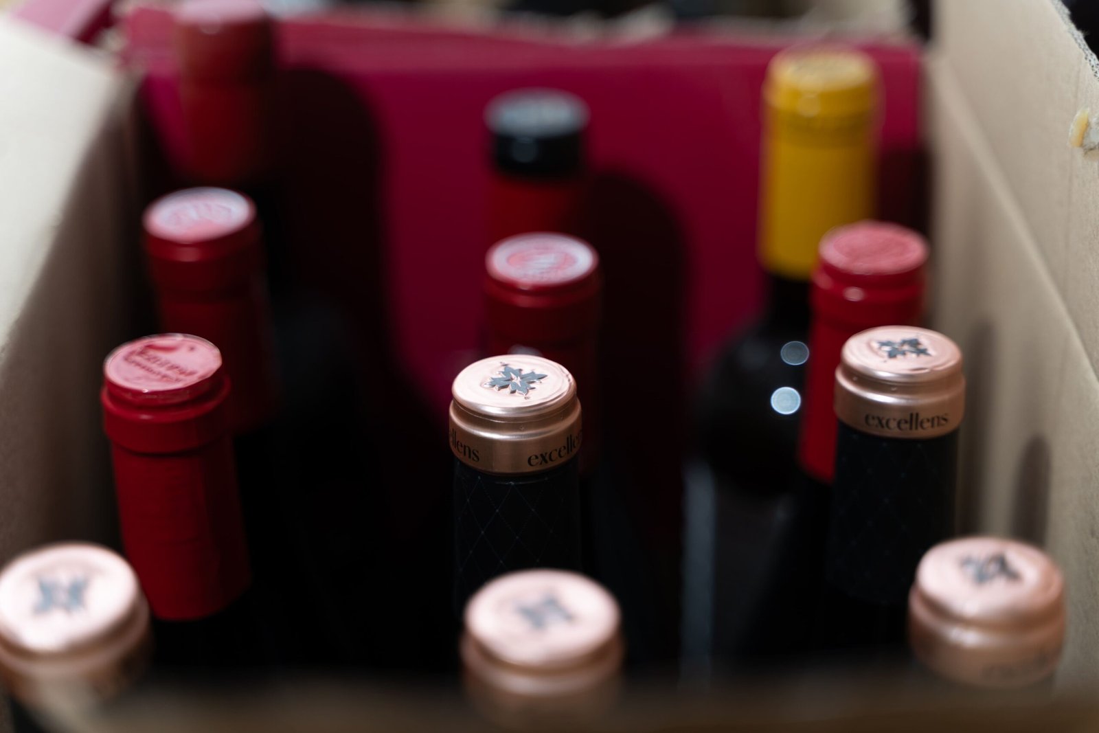 ccaarteixo-distribuciones-cotelo5