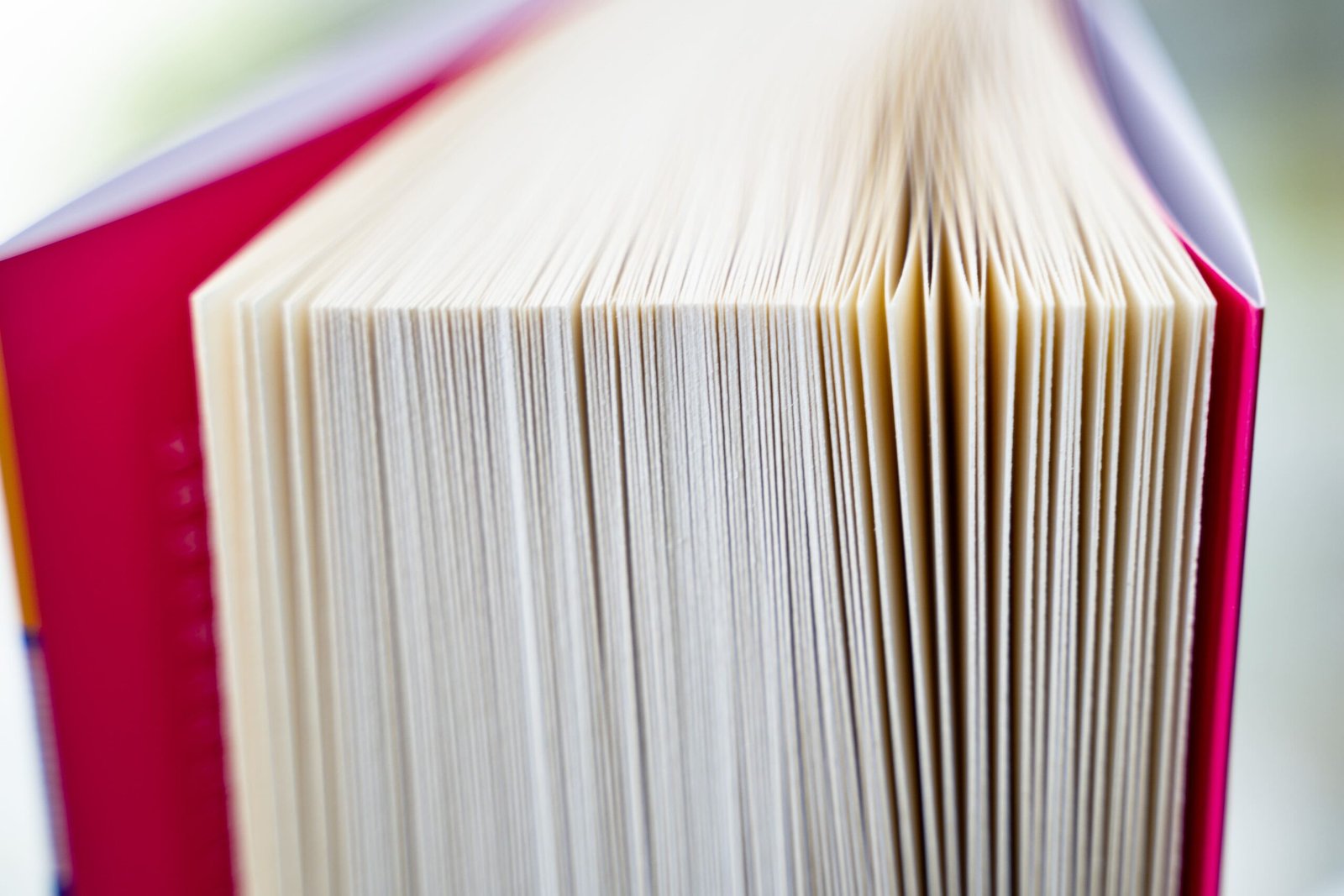 ccaarteixo-libreria-laydi4