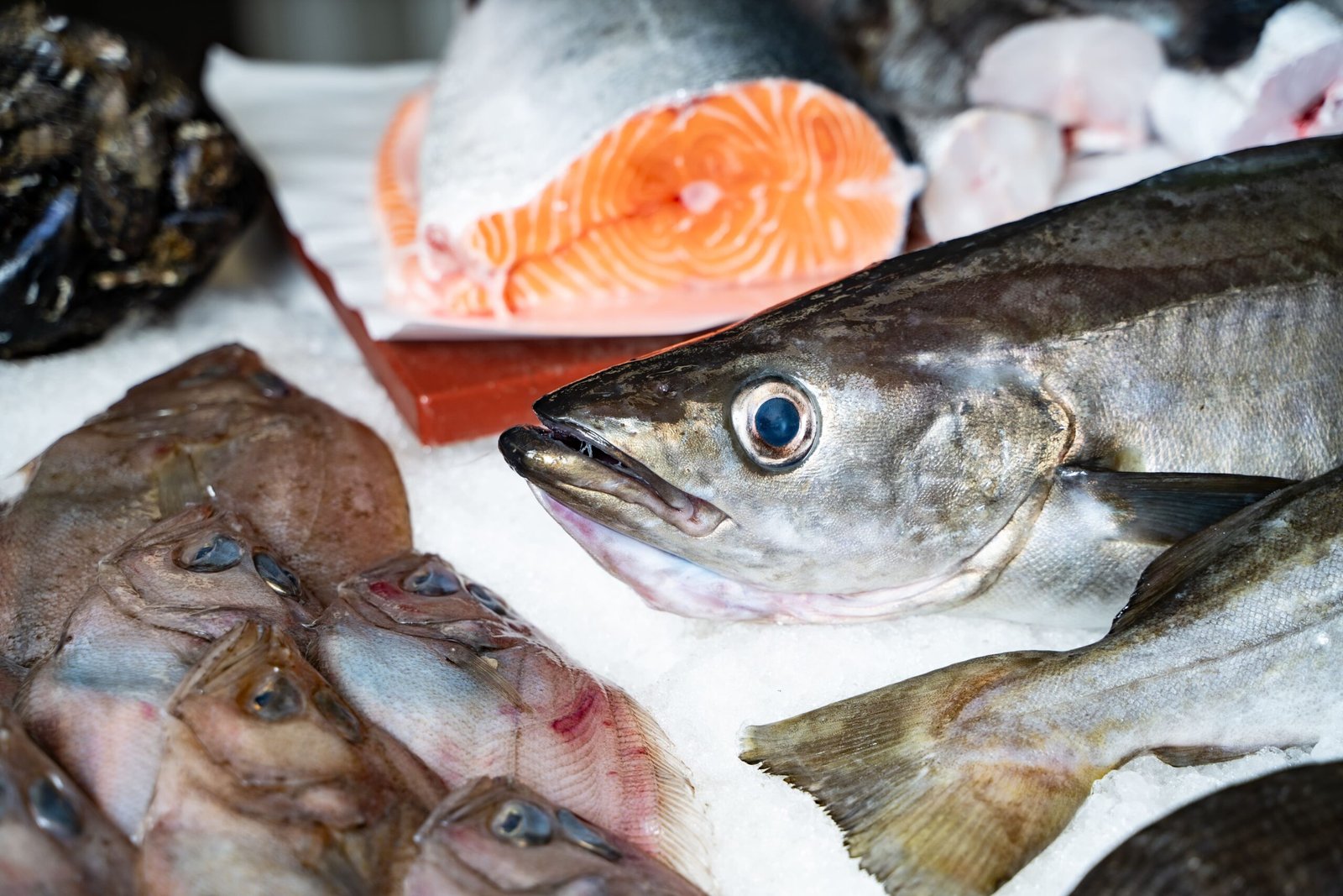 ccaarteixo-pescaderia-botero-gundin3