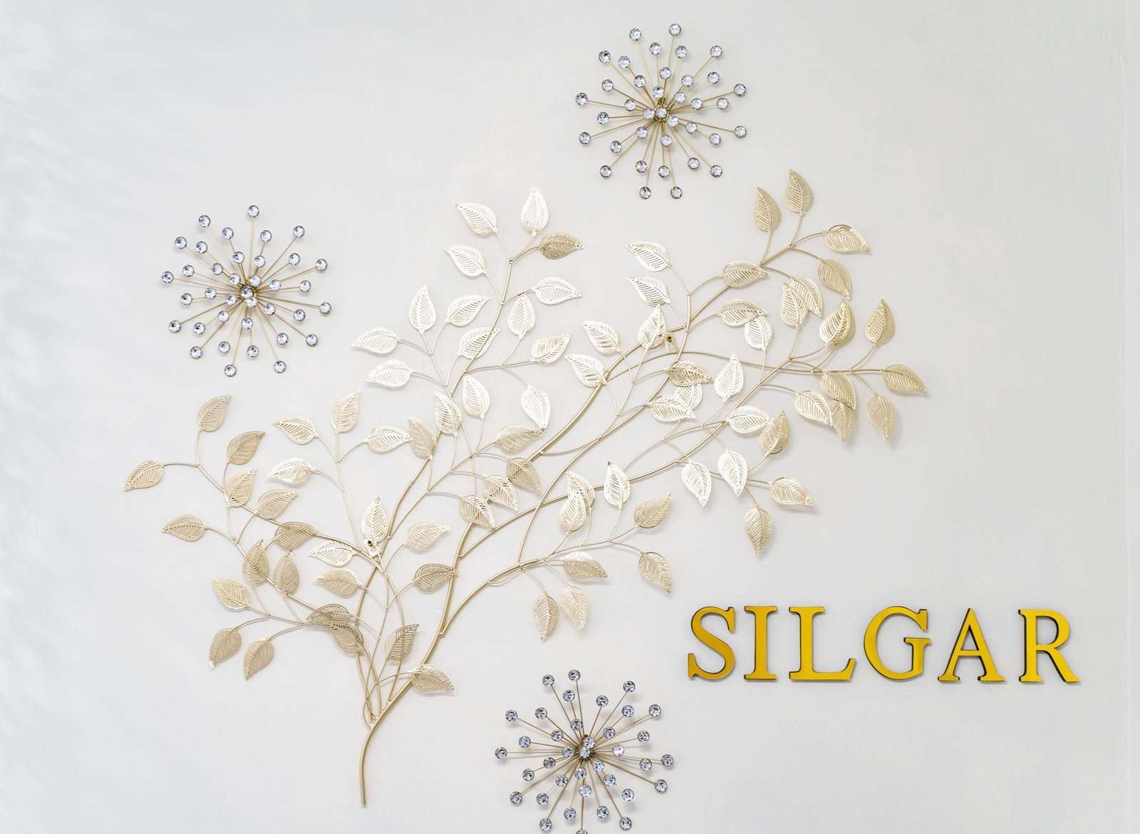 ccaarteixo-silgar-beauty3