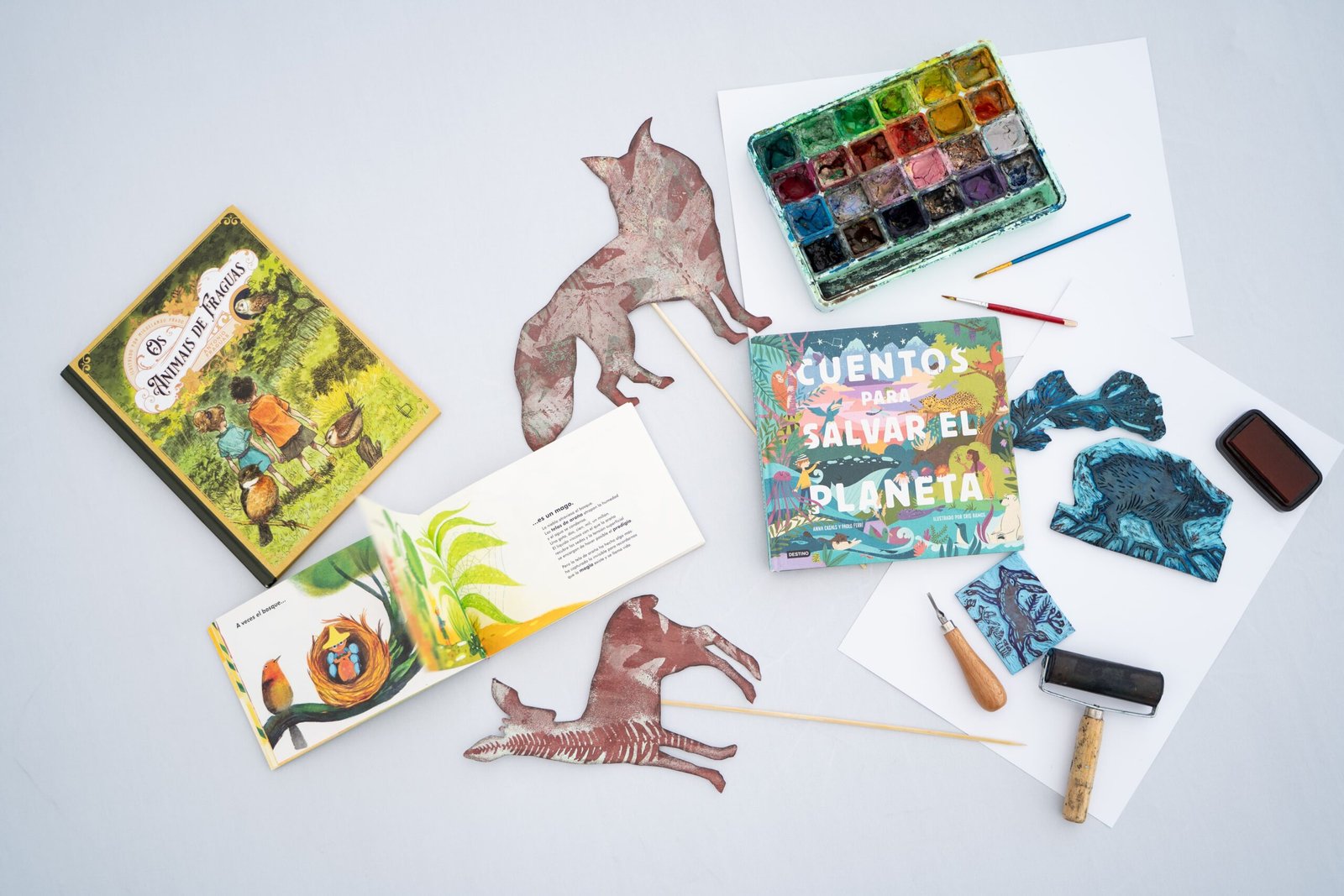 ccaarteixo-un-mar-de-cores2