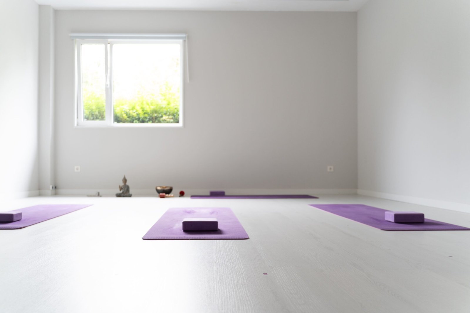 ccaarteixo-zenactive3