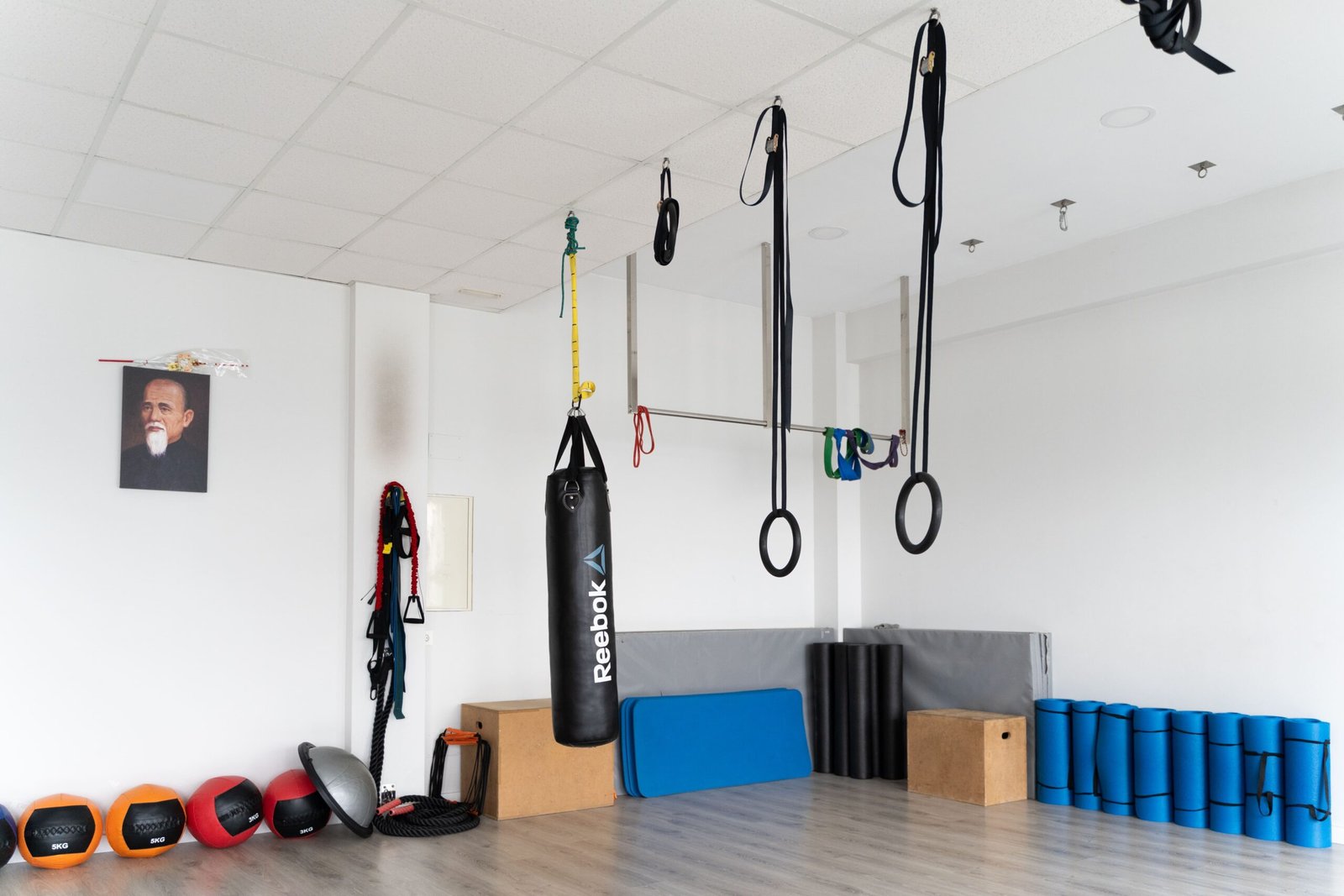 ccaarteixo-zenactive5