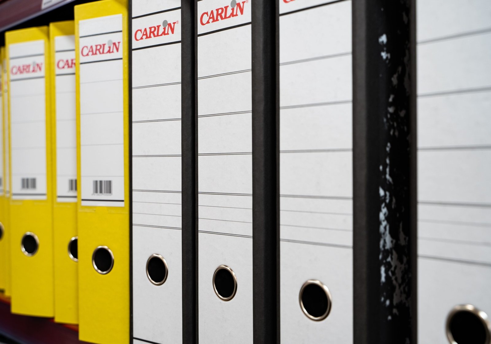 Copia de Copia de RVM05231