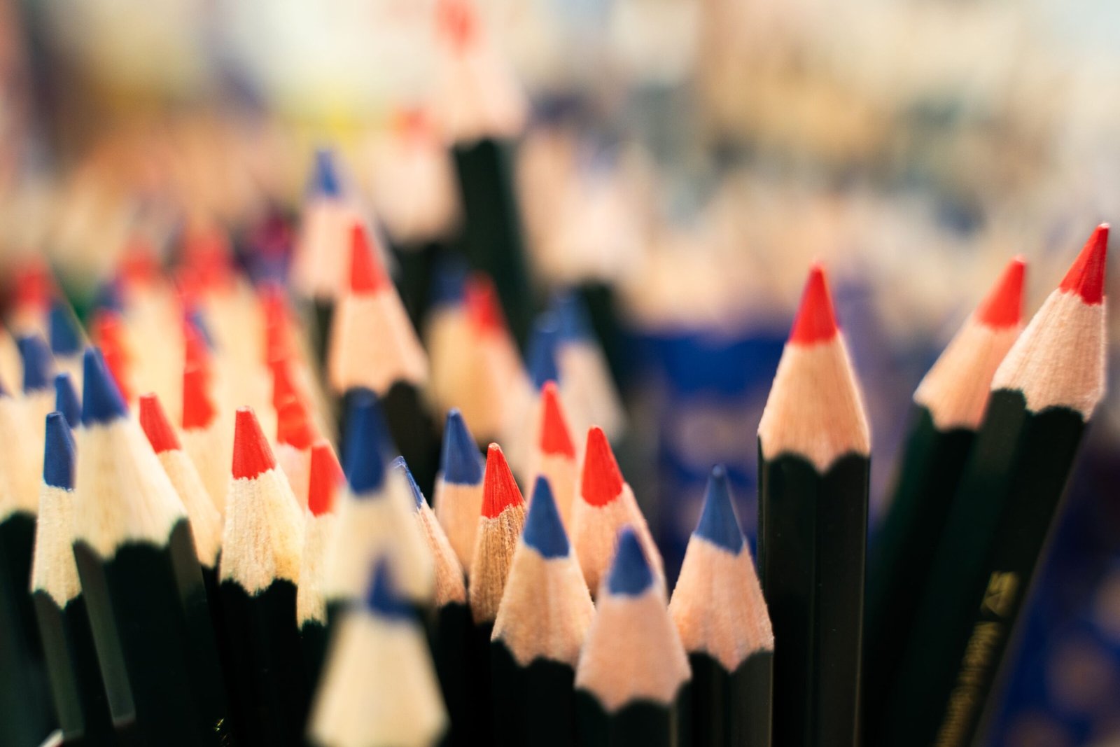 Copia de Copia de RVM05243