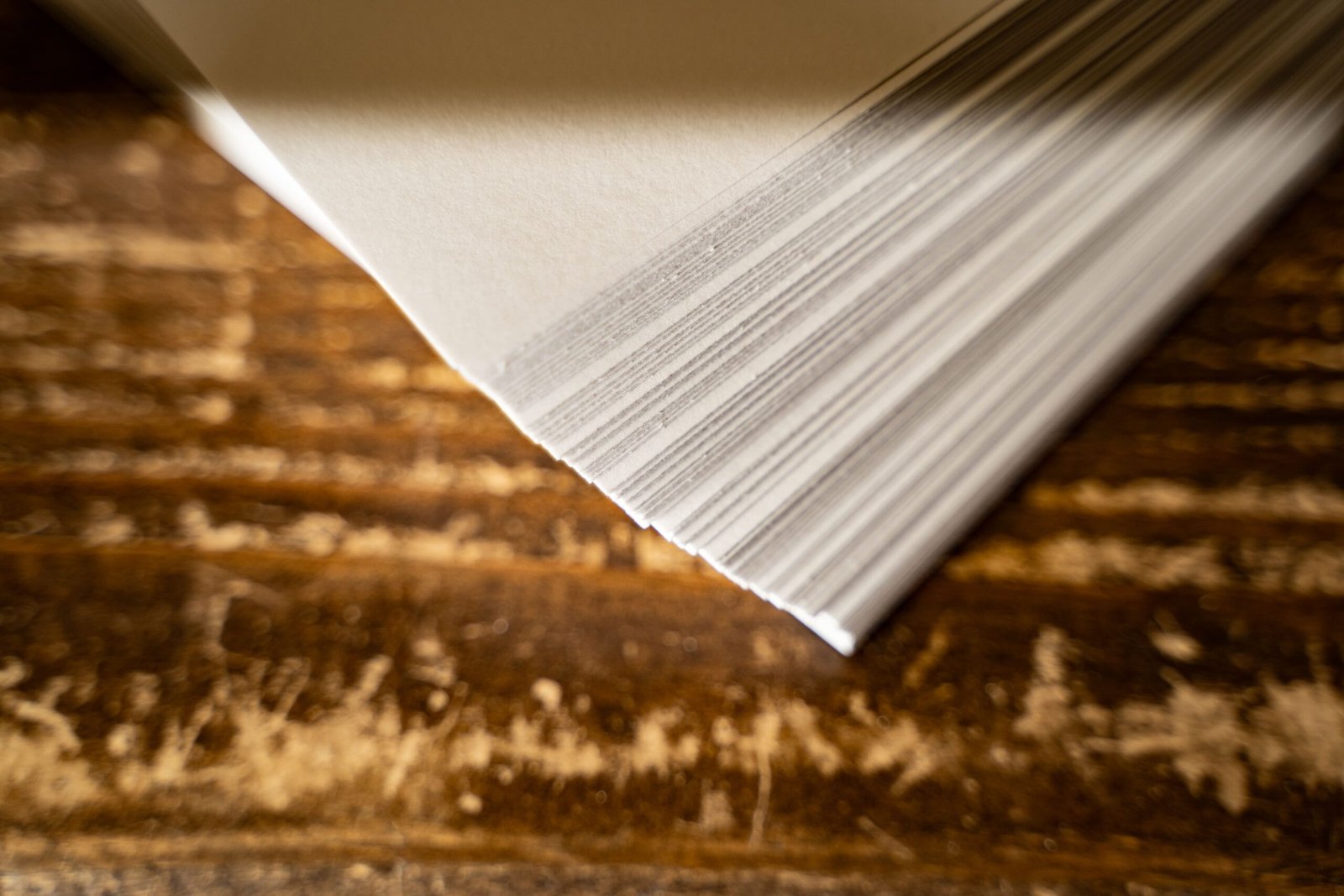 Copia de Copia de RVM05245